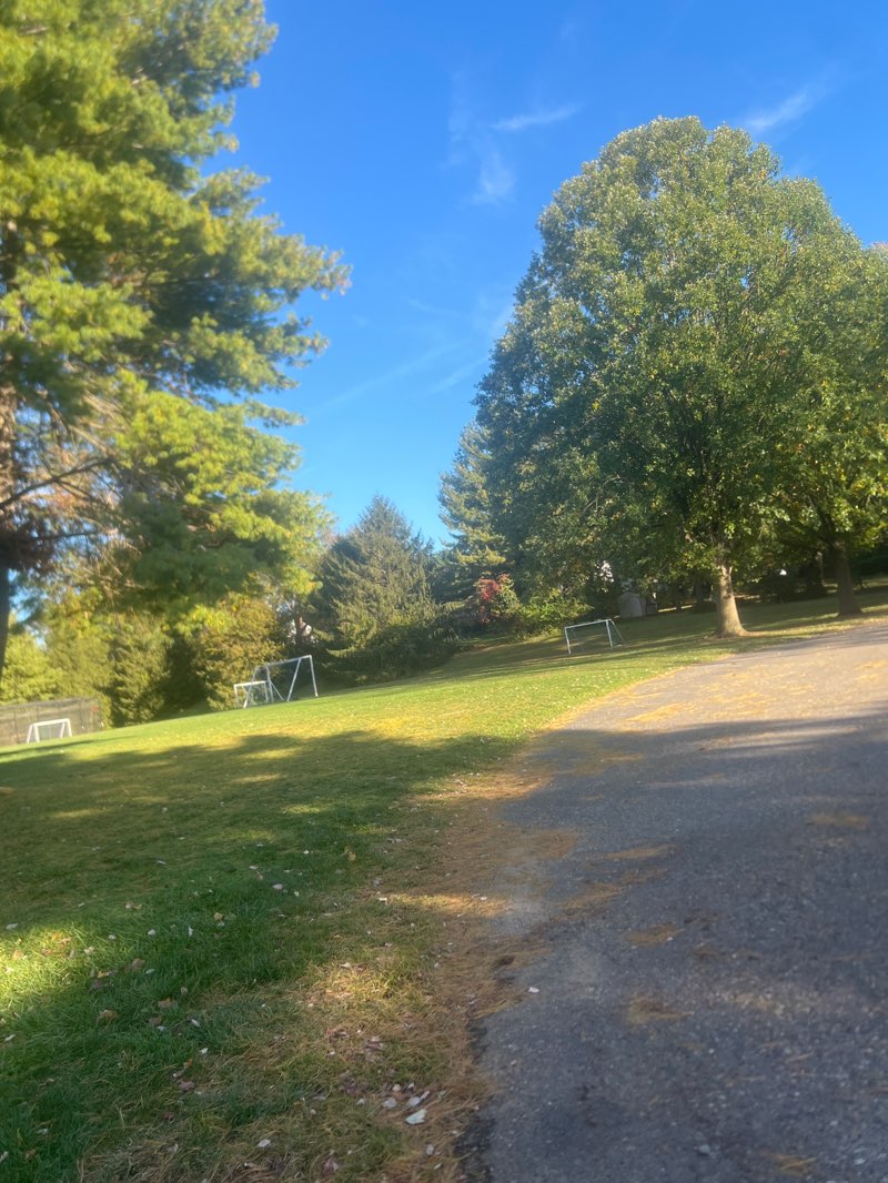 walking near me in Louis A. D'Ambrosia Park in autumn