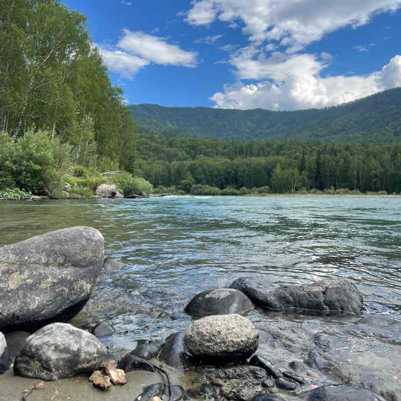 Kova Gotova Светлана post image