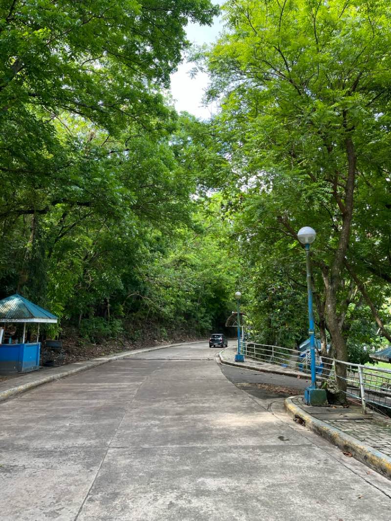 walking near me in Family Park in spring