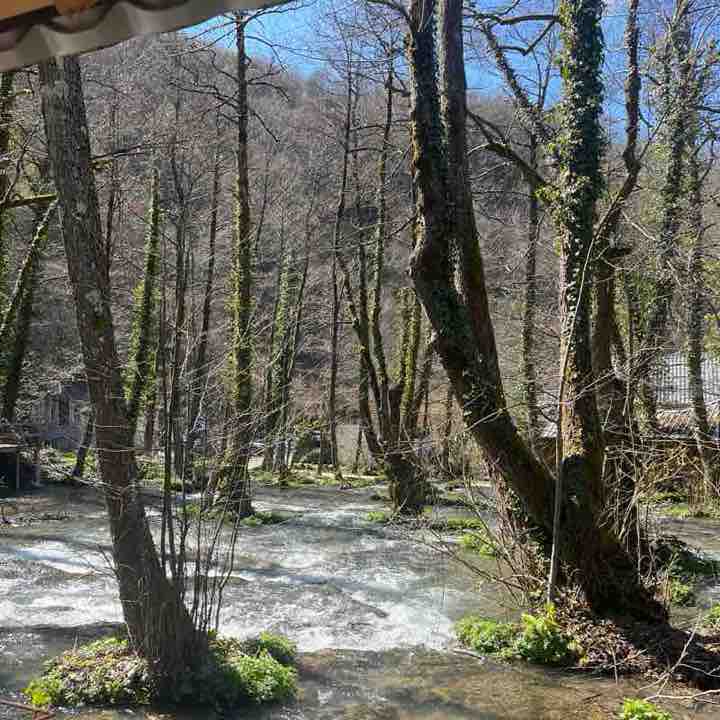 Racing Aleksandra post image