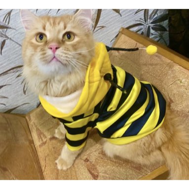 Анастасия profile