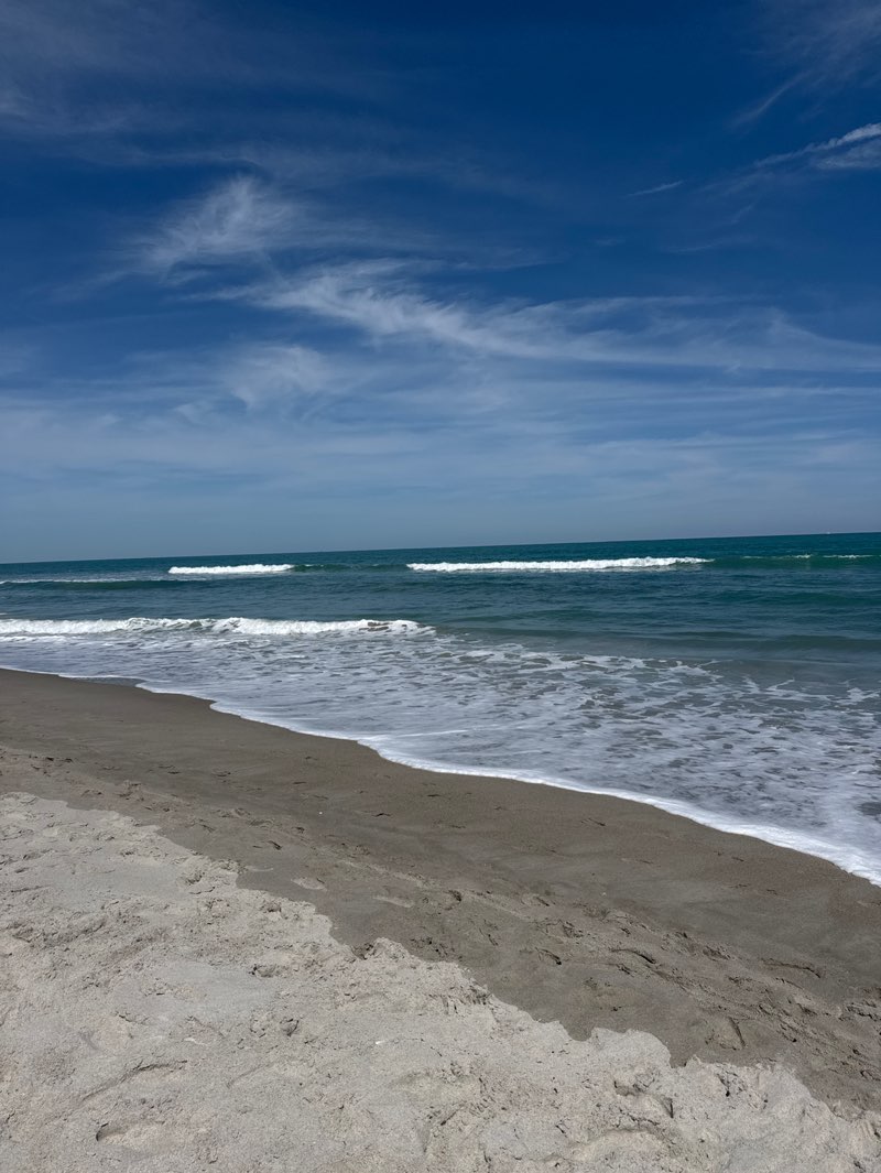 walking near me in Sea Gull Park in spring
