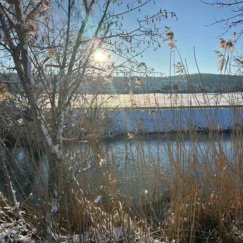 NCL Credit 🚶🏻‍♀️🚶‍♂️ Corinne post image