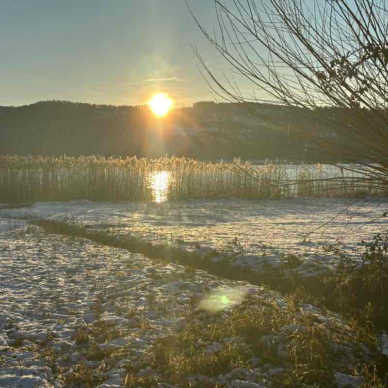 NCL Credit 🚶🏻‍♀️🚶‍♂️ Corinne post image