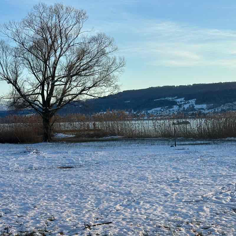 NCL Credit 🚶🏻‍♀️🚶‍♂️ Corinne post image