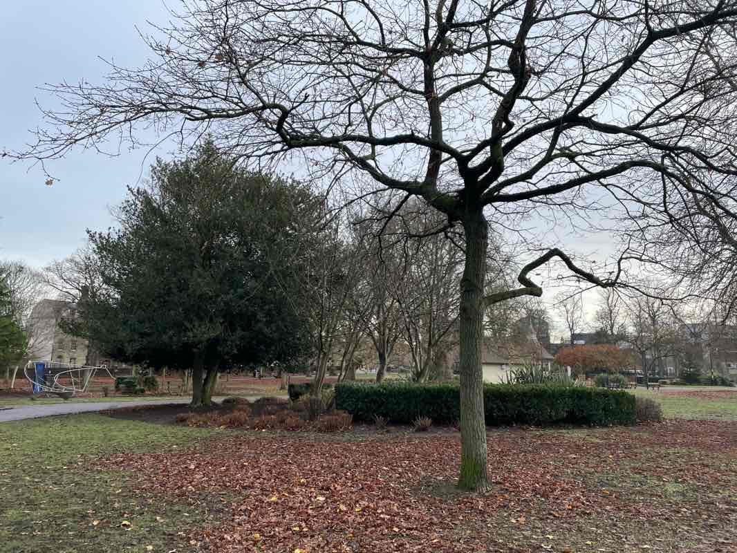 walking near me in Sloughbottom Park in winter