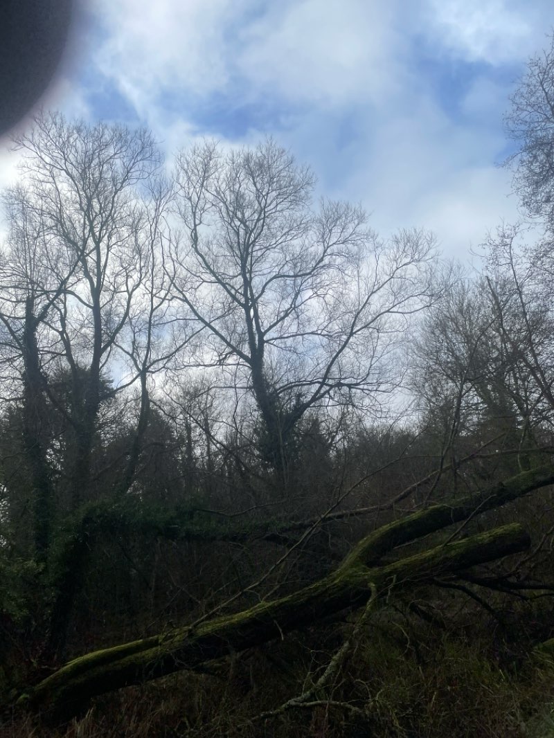walking near me in Wensum Park in winter