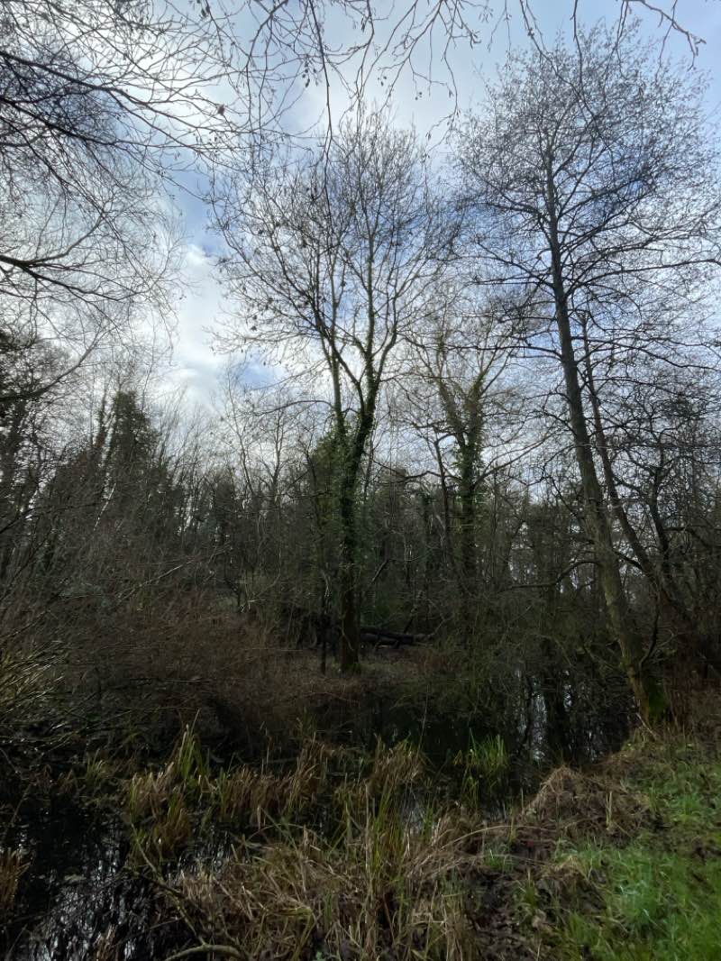 walking near me in Sloughbottom Park in winter