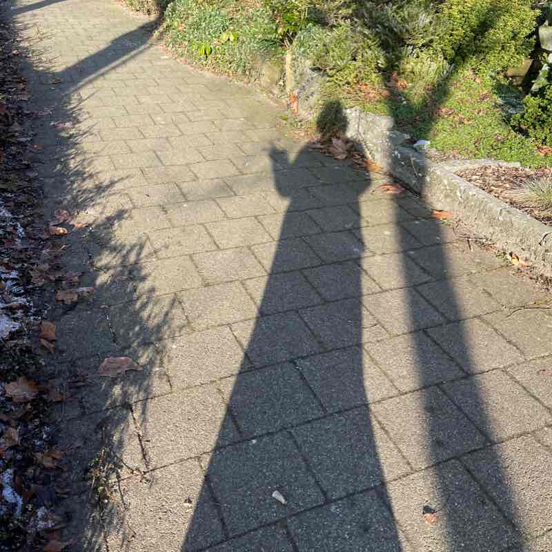 nuriscerlel nohr post image