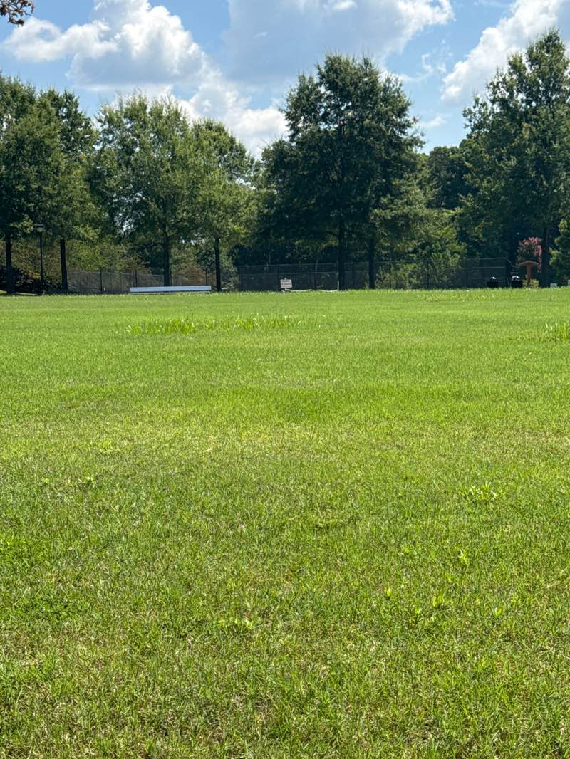 walking near me in Robbins Park in summer