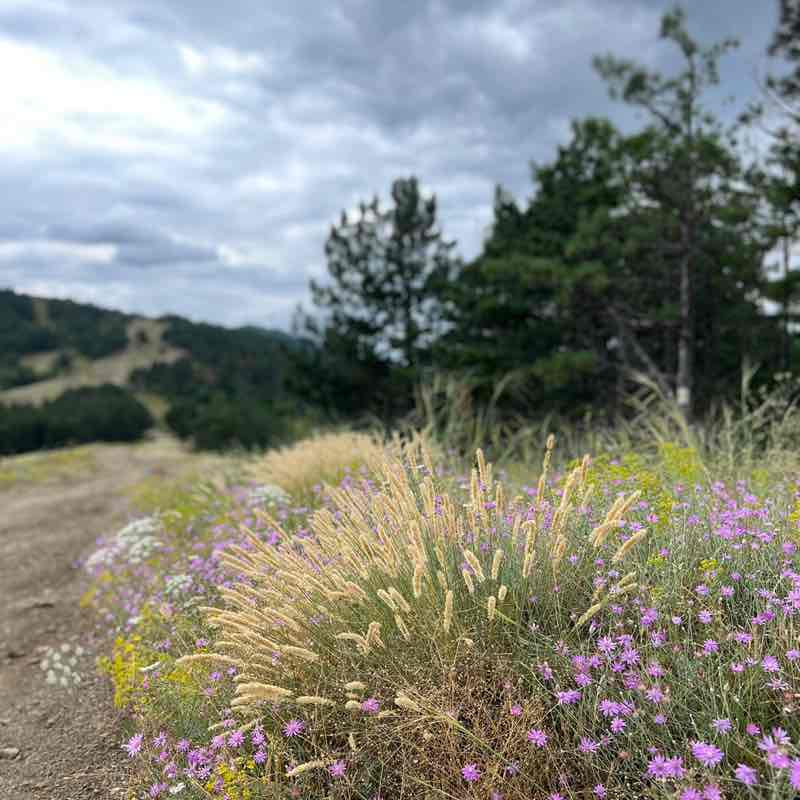 Yauheni Sidarau post 1