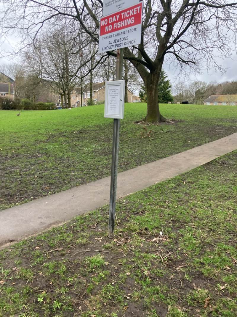 walking near me in Low Hills Pond in spring
