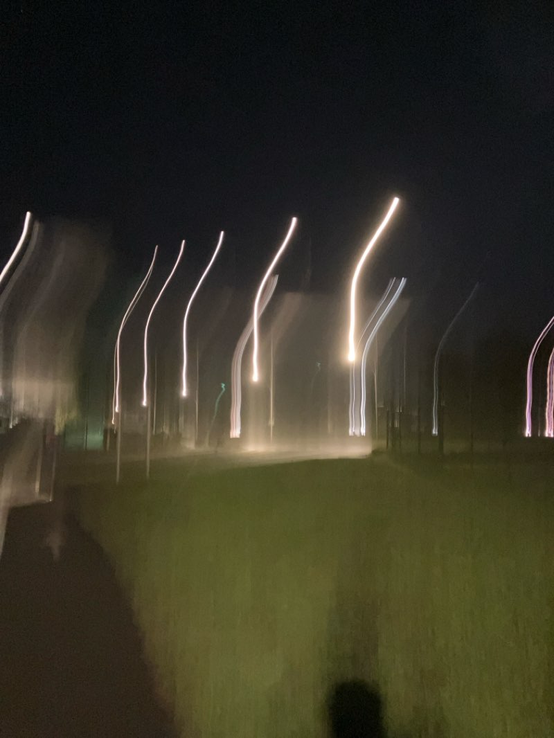 walking near me in Parc du Campus de l'Université Bordeaux Montaigne - Doyen Brus in winter