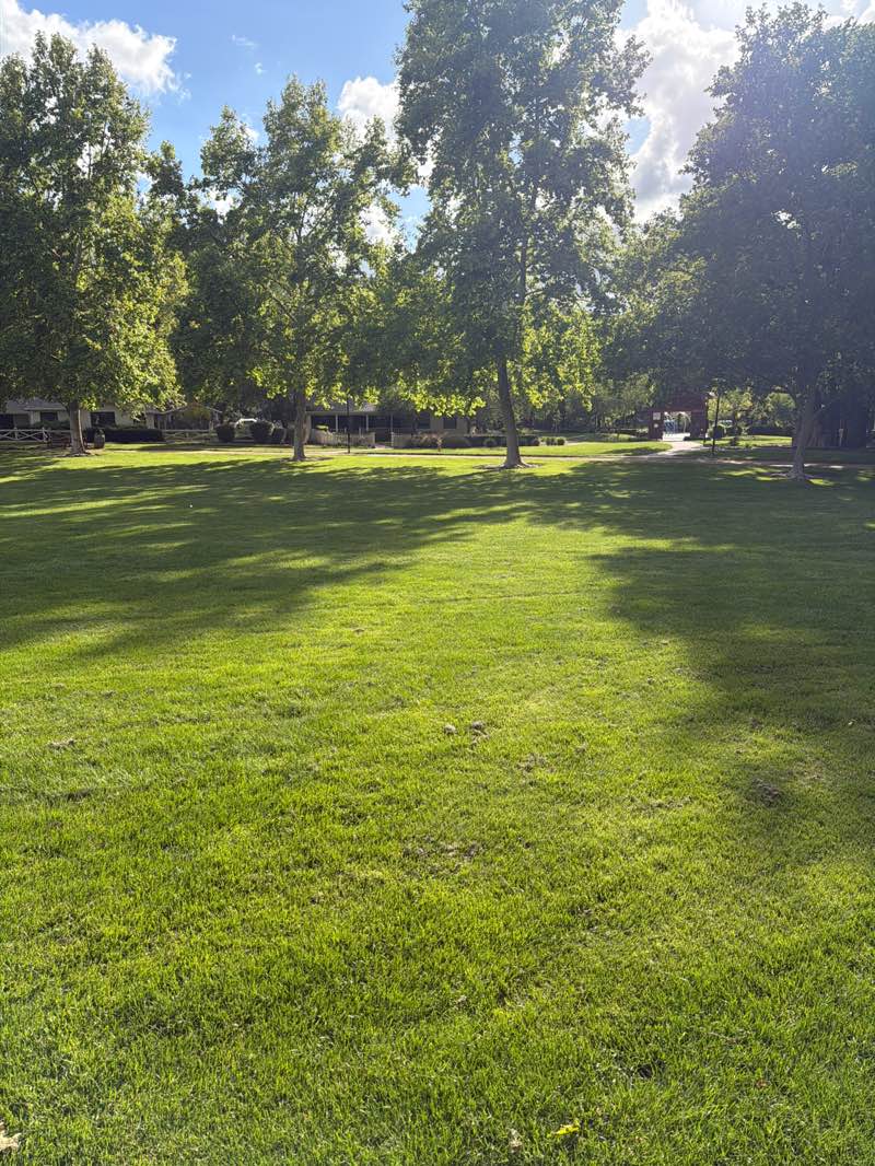 walking near me in Hap McGee Ranch Park in spring