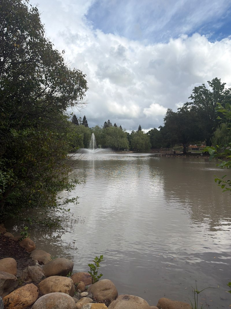 walking near me in Oak Hill Park in spring