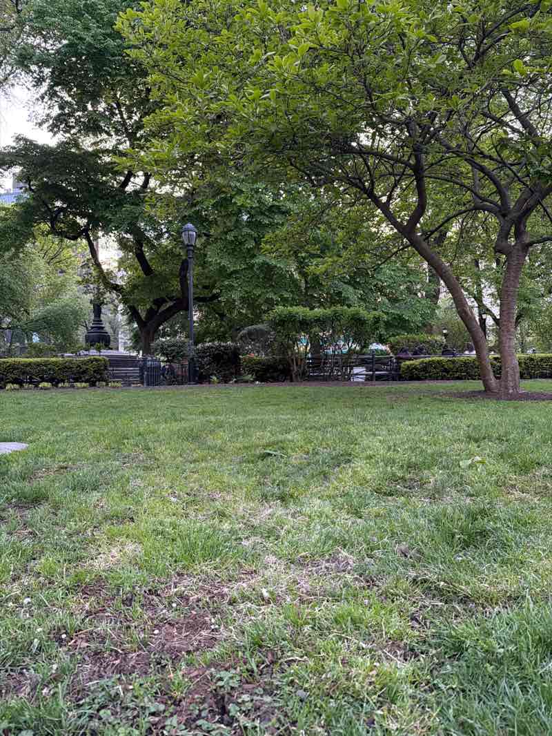 walking near me in Union Square Park in spring