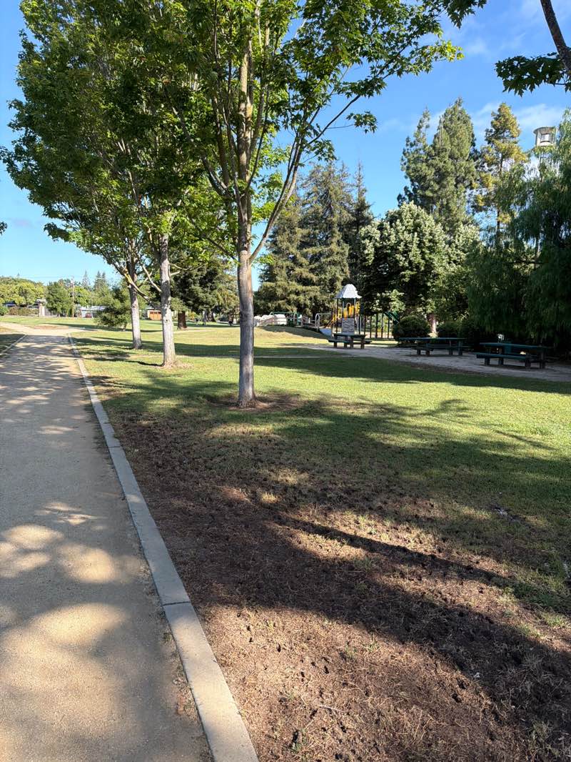 walking near me in Briones Park in summer