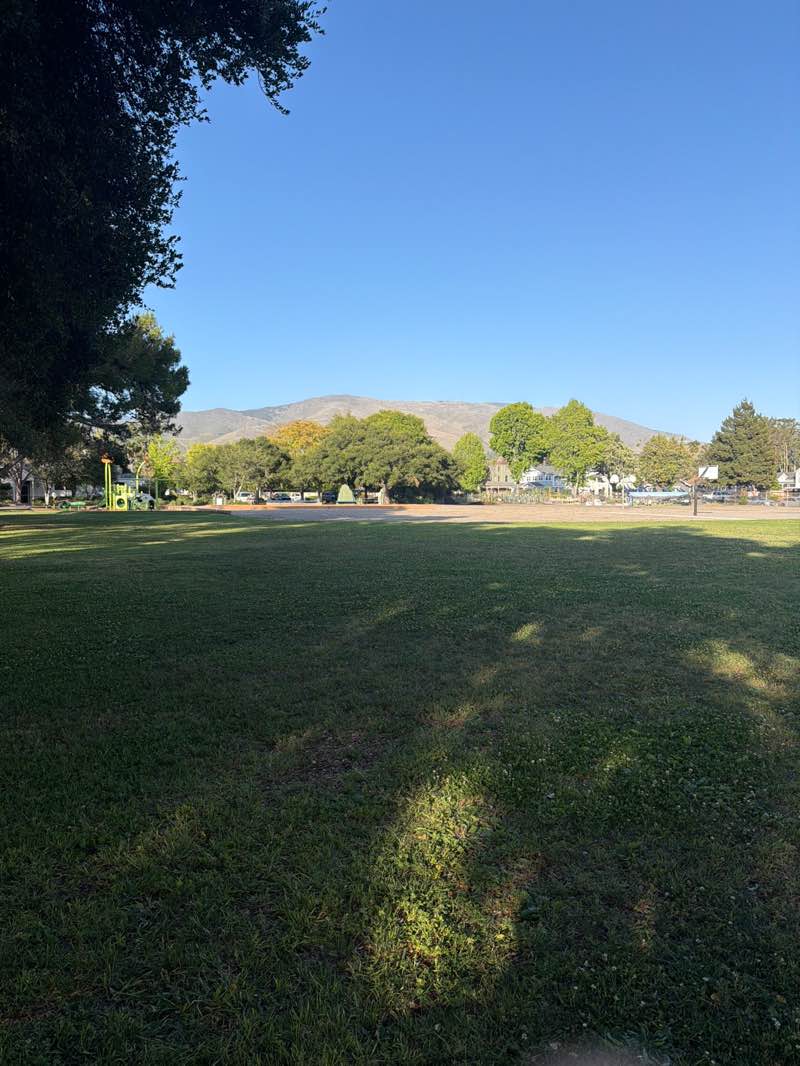 walking near me in Emerson Park in spring