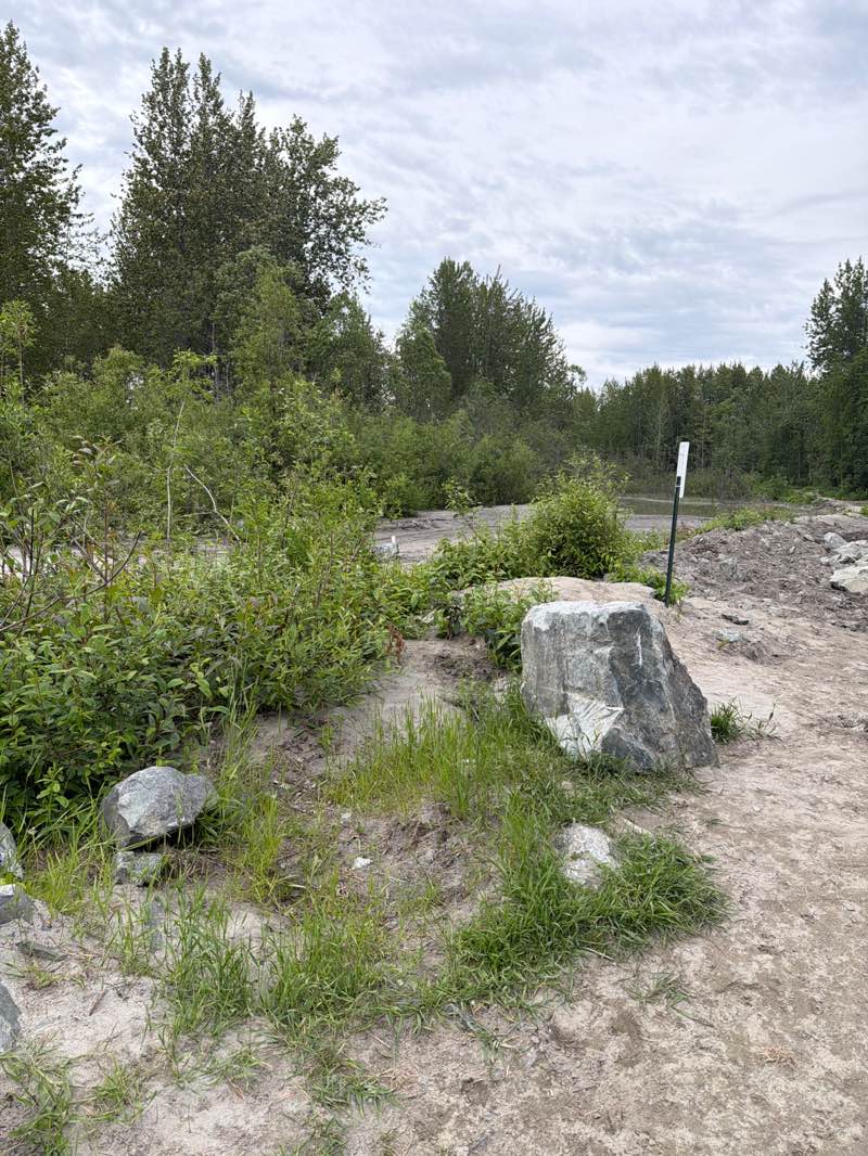 walking near me in Talkeetna River Park in summer