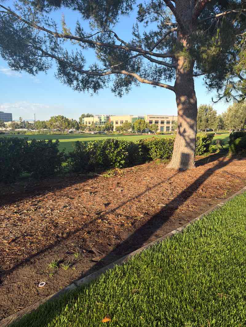 walking near me in Carpenter's Union Park in summer