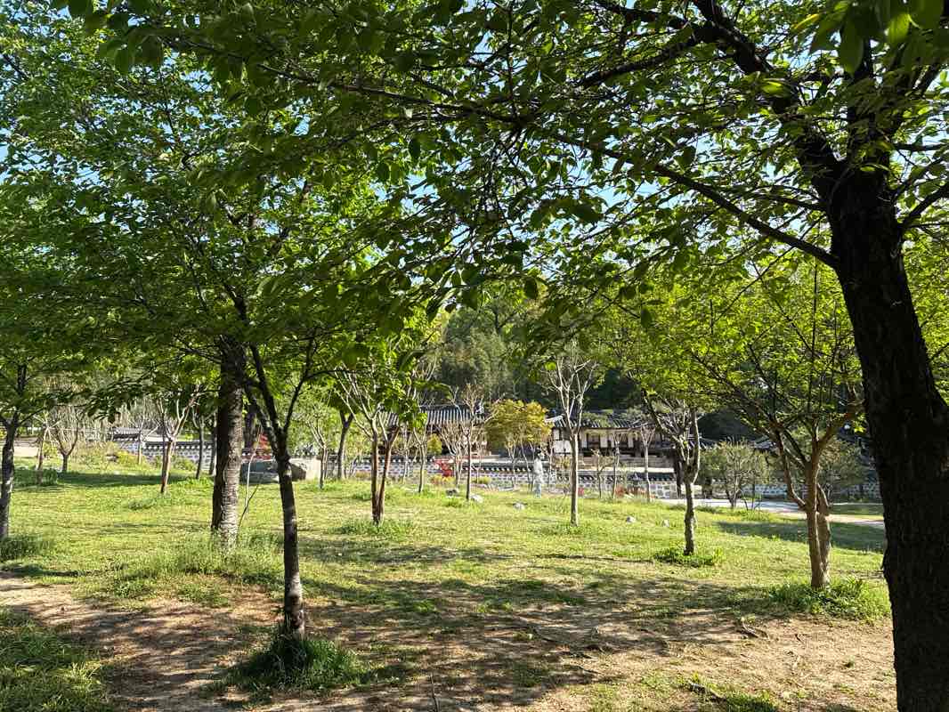 walking near me in Dream Forest Park in spring