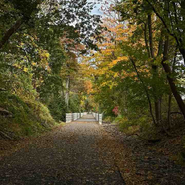 Olga Achkasova post 1