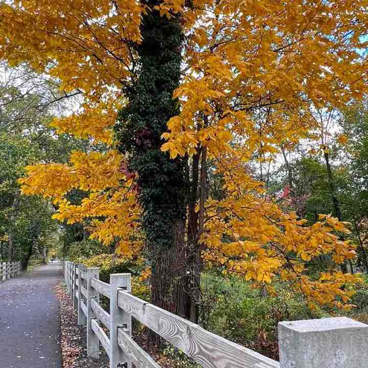 Olga Achkasova post 2