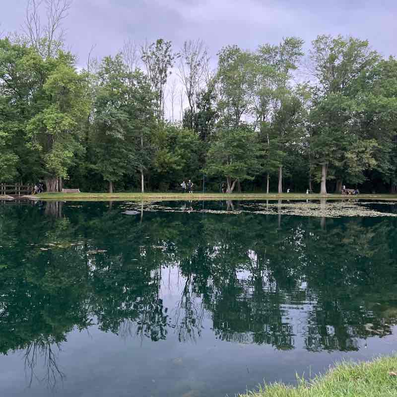 Olga Achkasova post 1