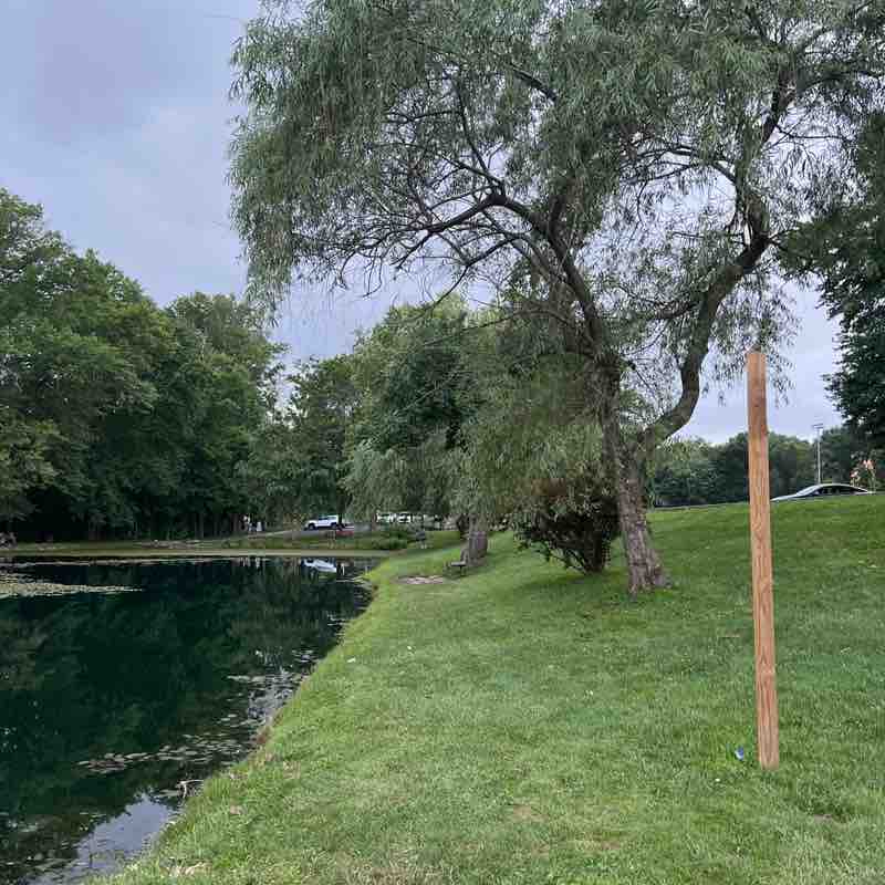 Olga Achkasova post 2