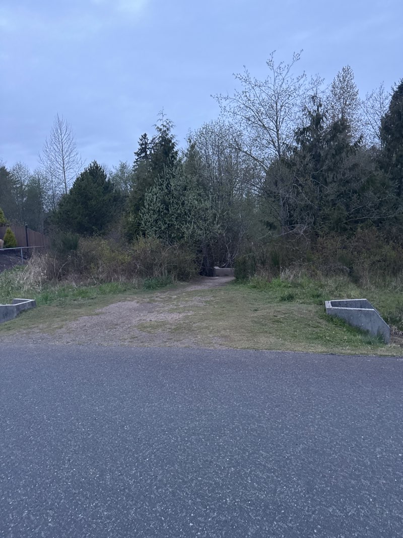 walking near me in Muir/McLauchlin Park in spring