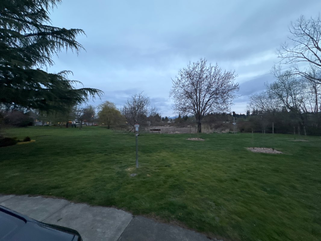walking near me in Highwood Park in spring