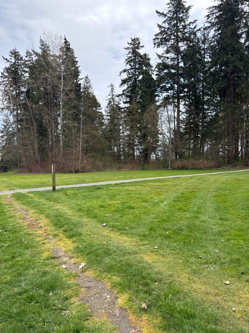 walking near me in Bill Moore Memorial Park in spring