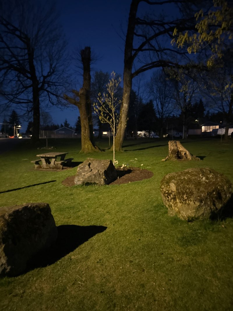 walking near me in Maple Park in spring