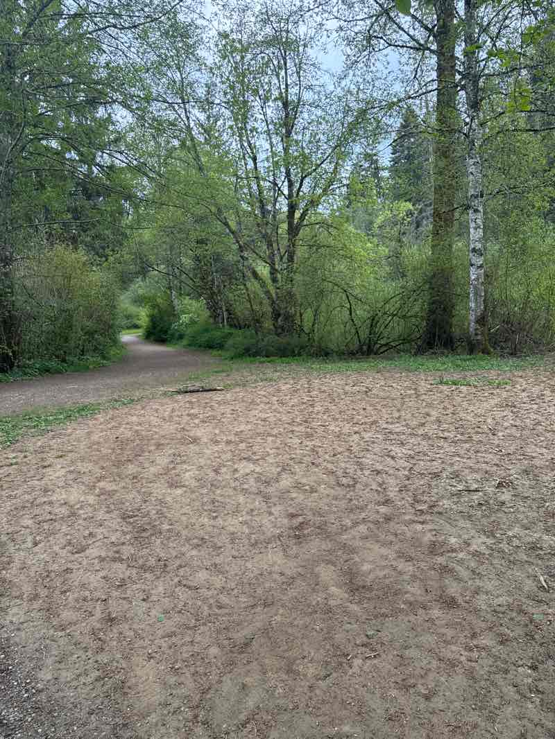 walking near me in Comox Valley Exhibition Grounds in spring