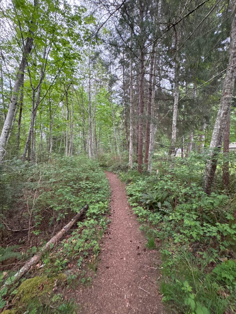 walking near me in Loxley Regional Park in spring