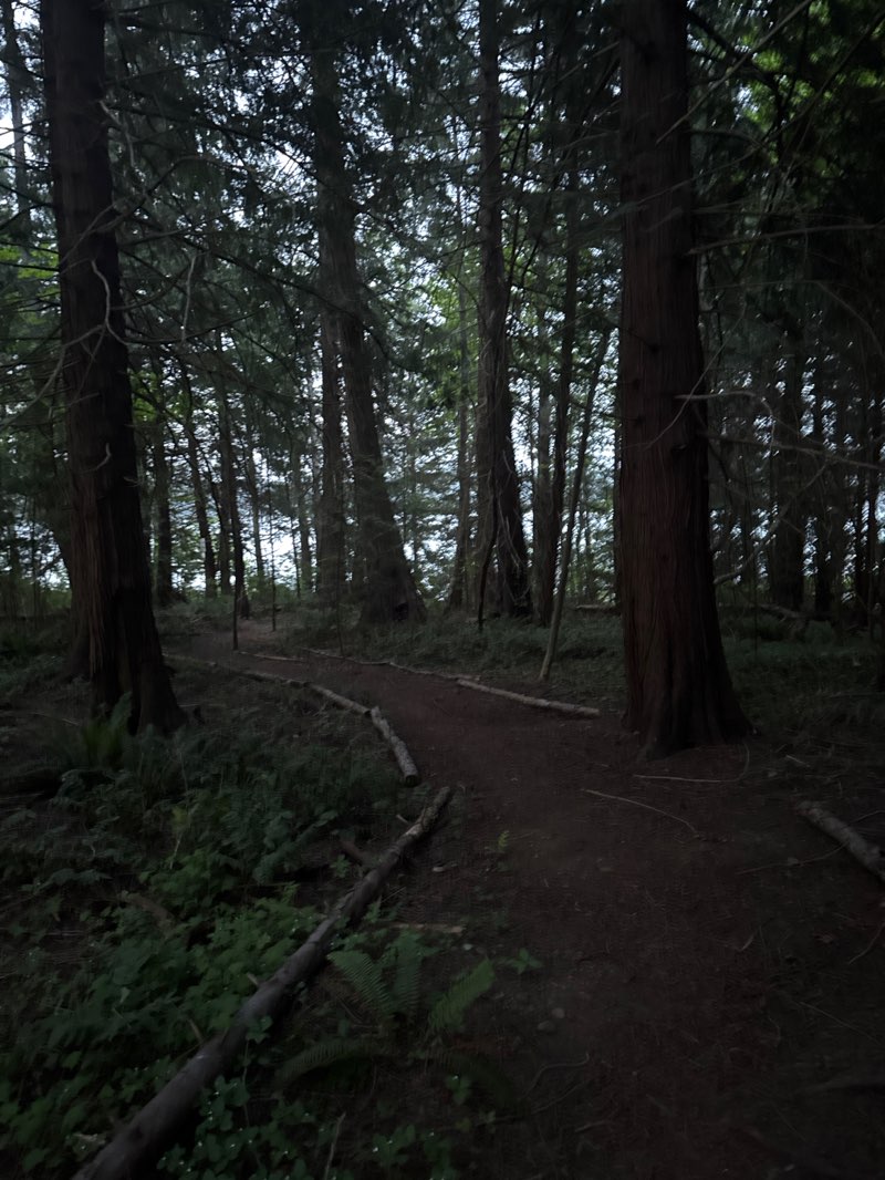 walking near me in Ship Peninsula Regional Park in spring