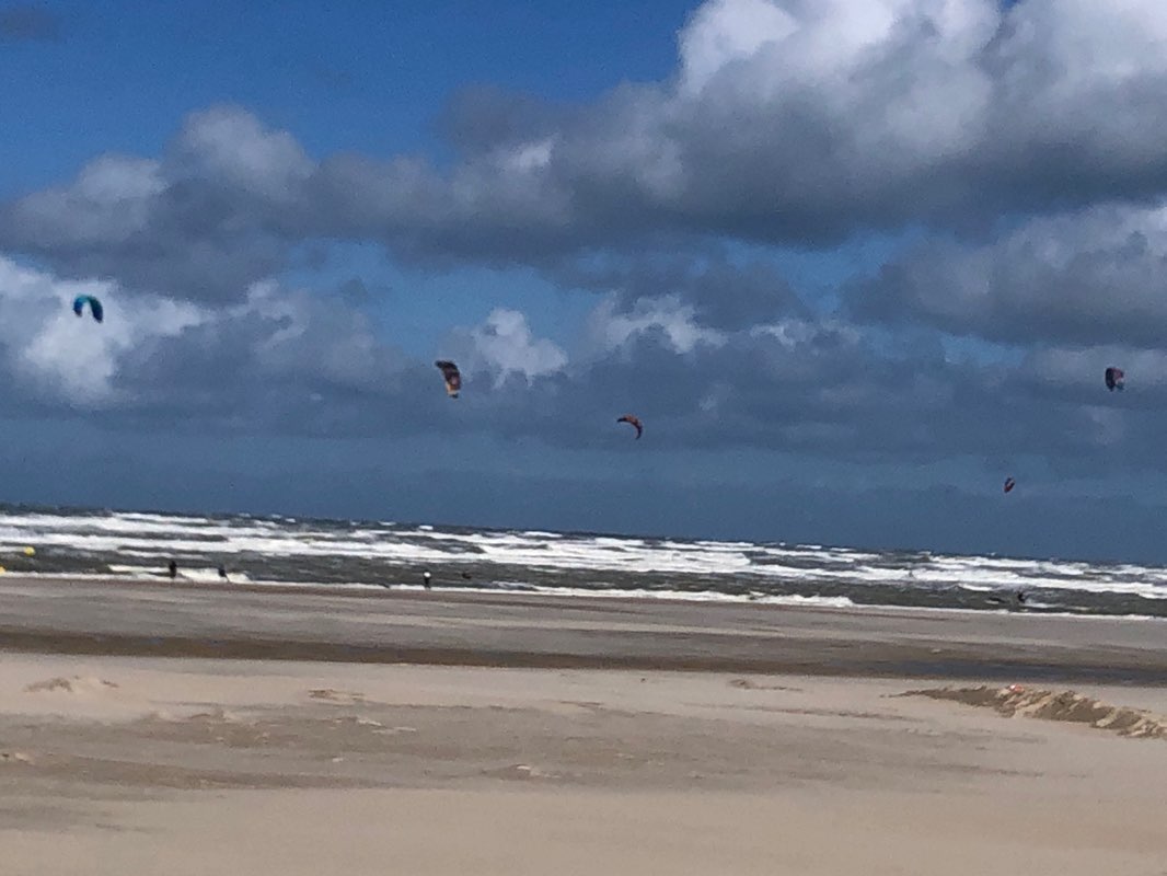 walking near me in Jardin d'Ypres in winter