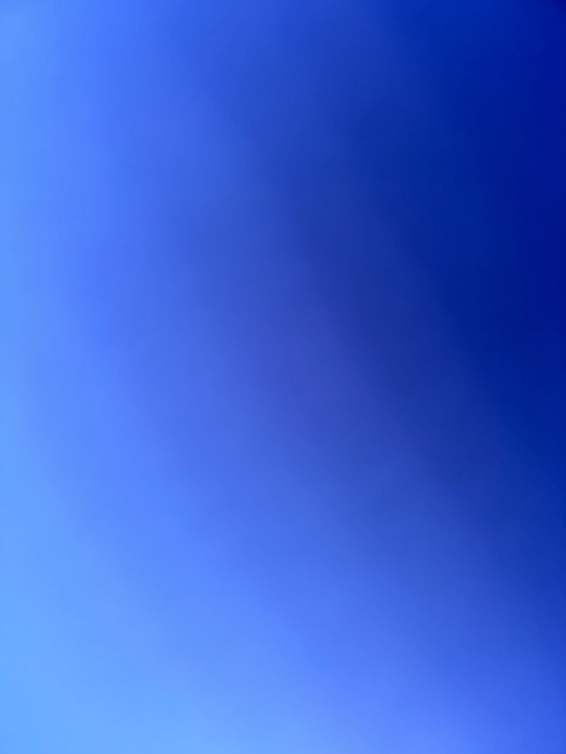 walking near me in Parque Freses in summer