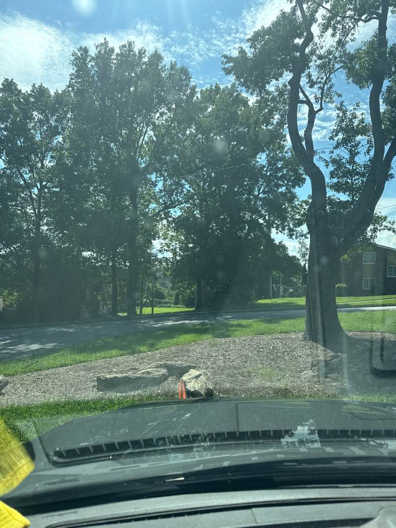 walking near me in Walton Street Park in autumn