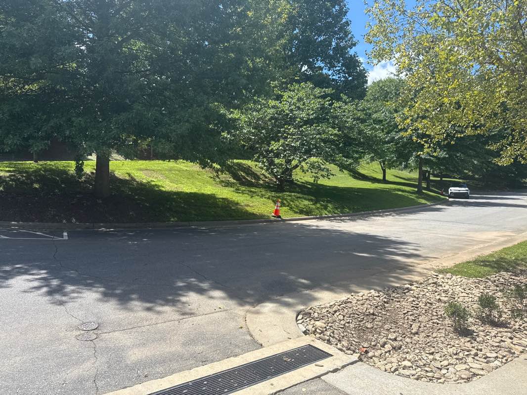 walking near me in Livingston Street Park in autumn