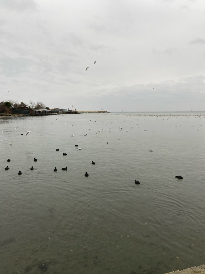 walking near me in Silivri Belediyesi Lozan Parkı in winter