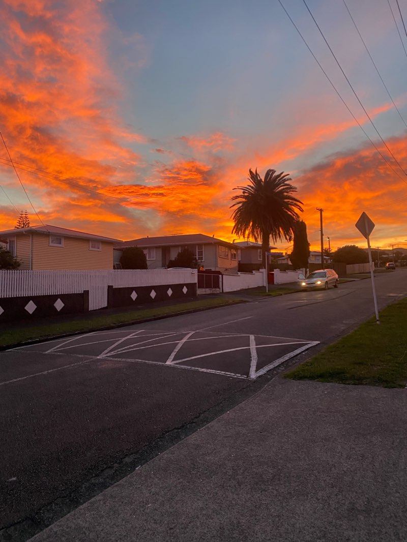 walking near me in Cannons Creek Lakes Reserve in summer