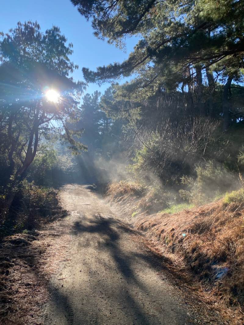 walking near me in Dales Reserve in winter