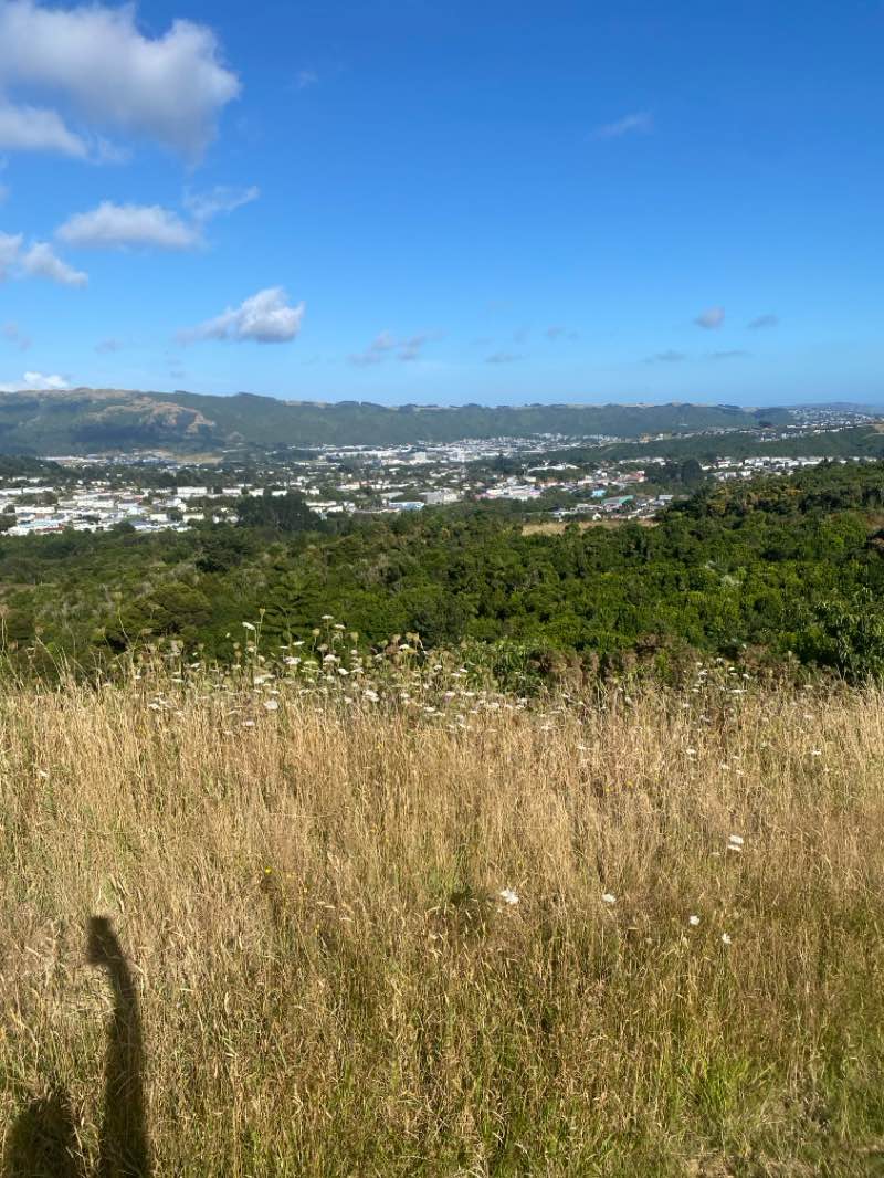 walking near me in Waihora Park in summer