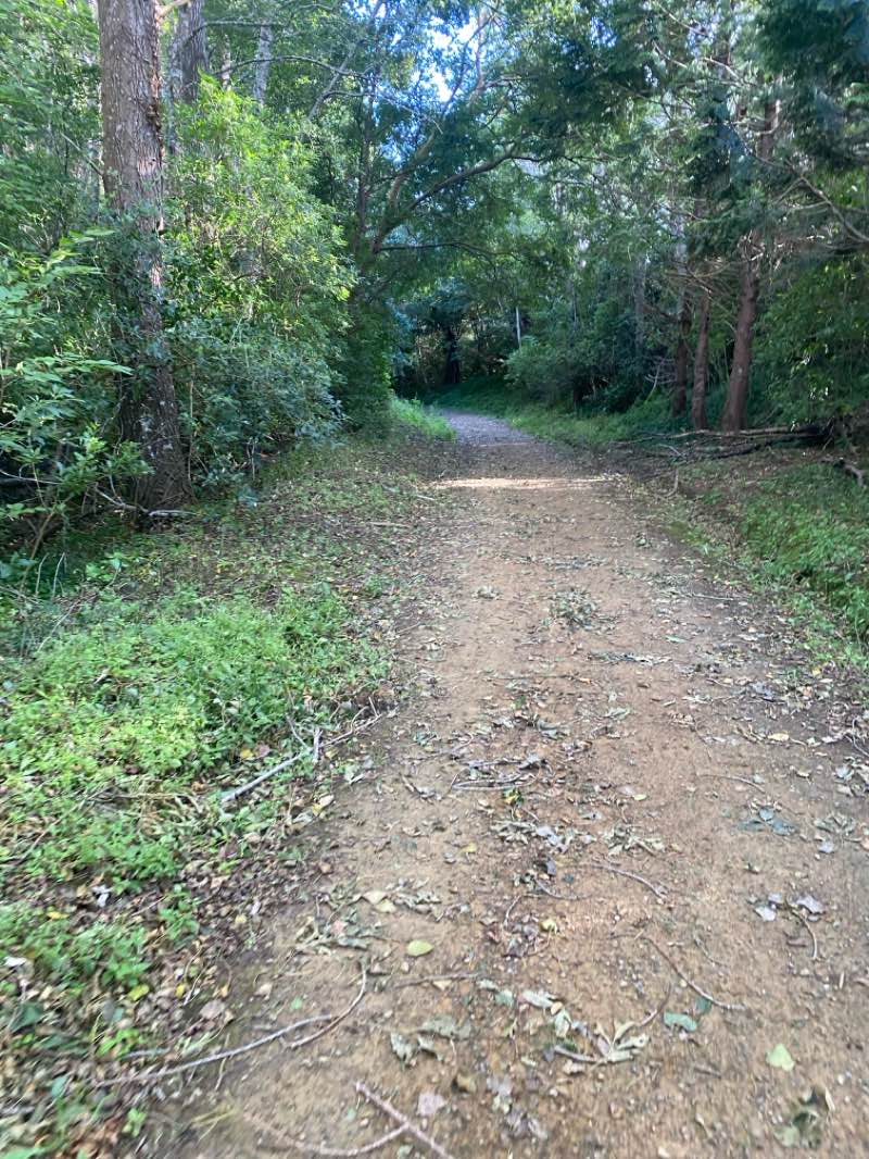 walking near me in Dales Reserve in summer