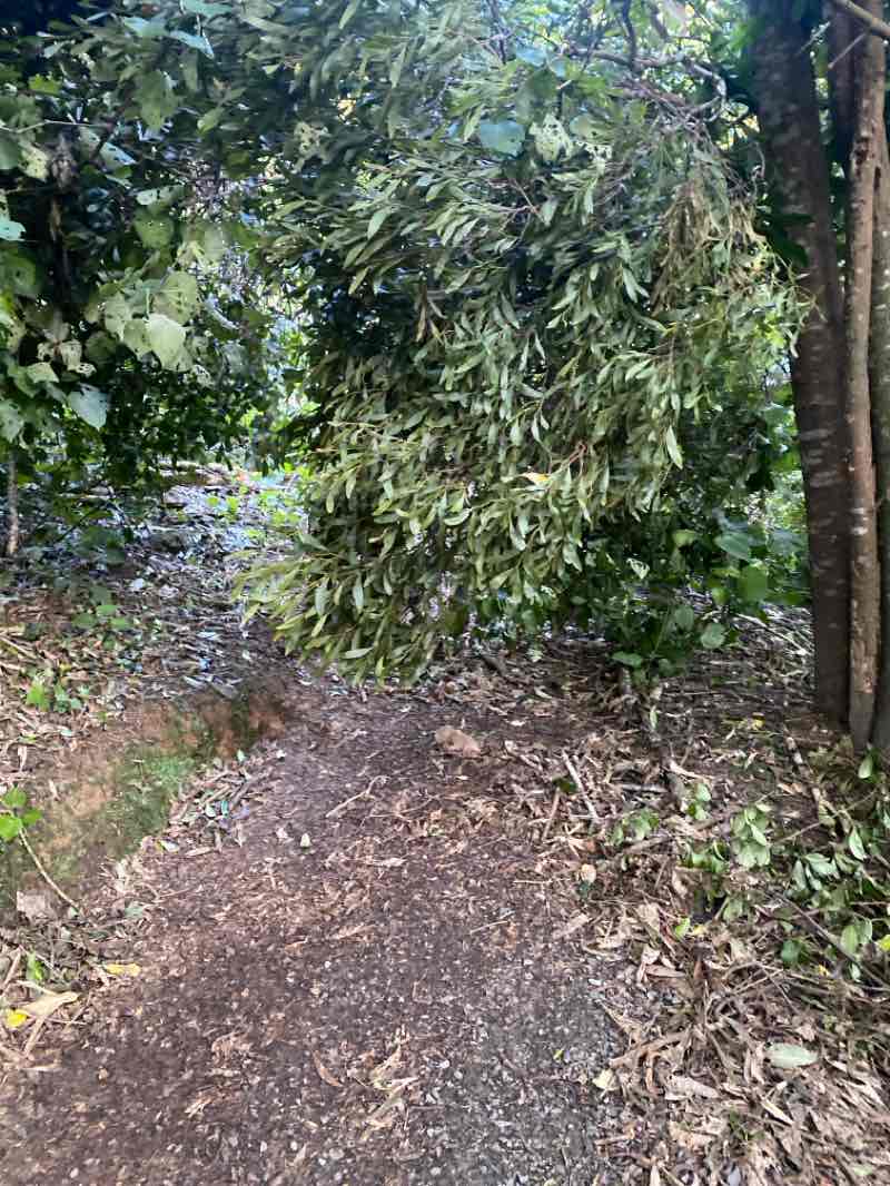 walking near me in Cannons Creek Lakes Reserve in autumn