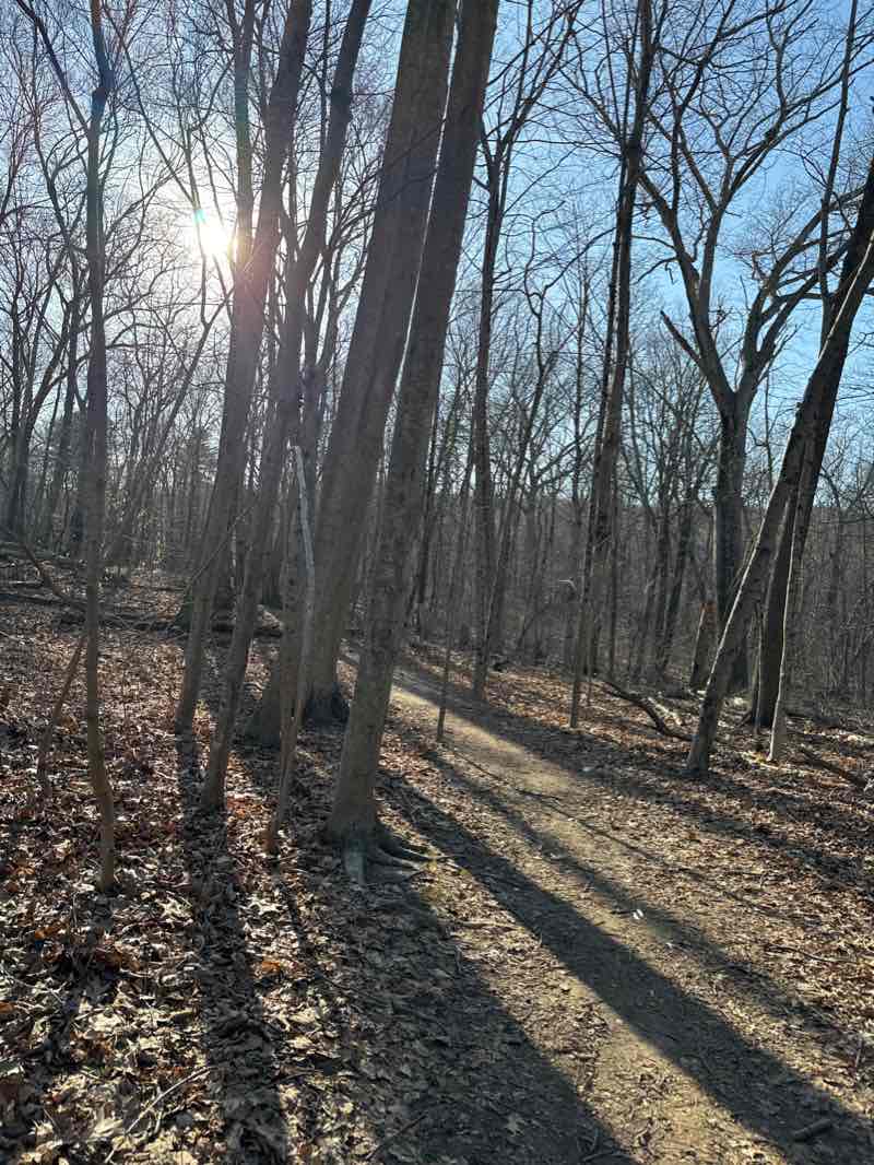 walking near me in Veterans Memorial Park in winter