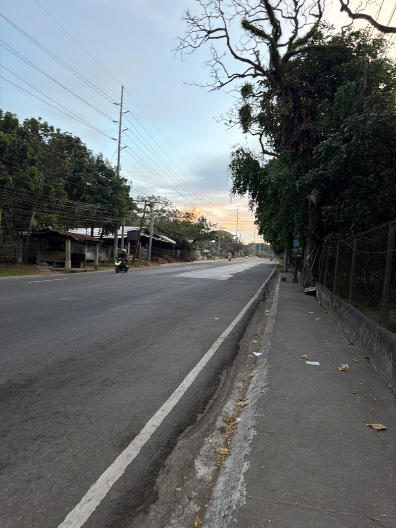 walking near me in Pada's Park in winter