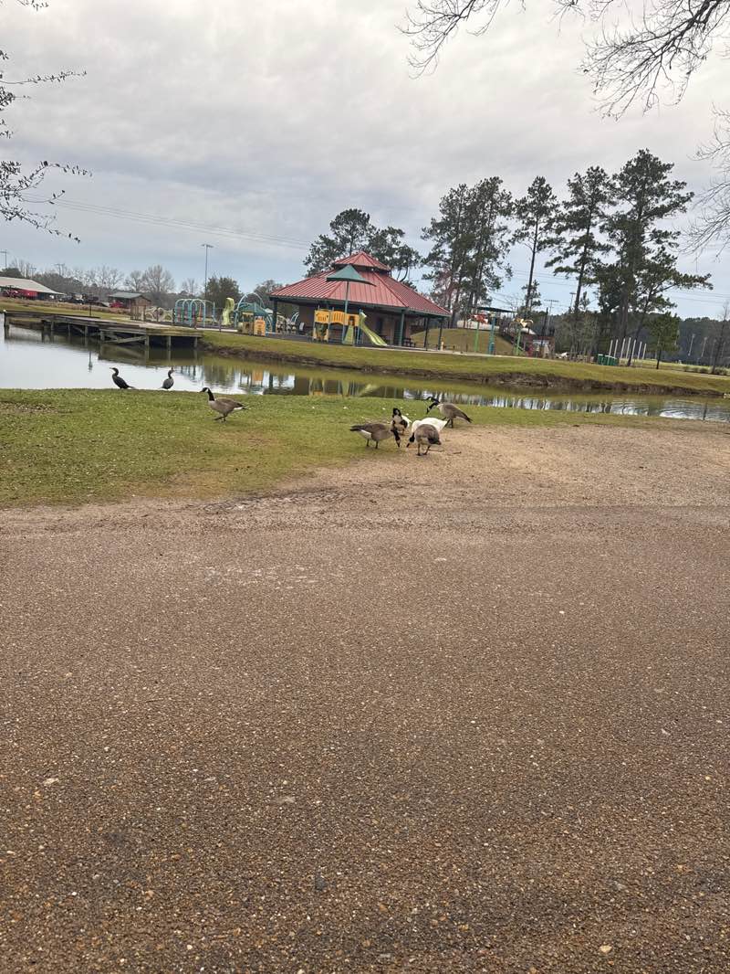 walking near me in Coquille Parks and Recreation in winter