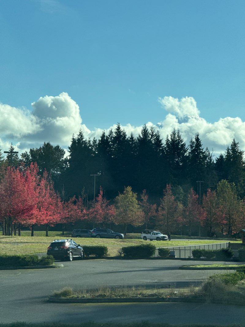 walking near me in McCollum Pioneer Park in autumn